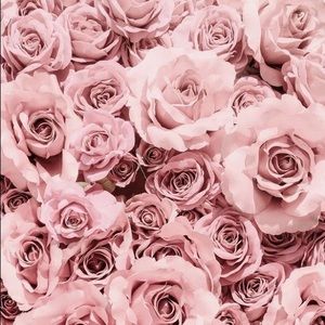 Meet your Posher, Bella